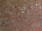 Aldolase C Polyclonal Antibody